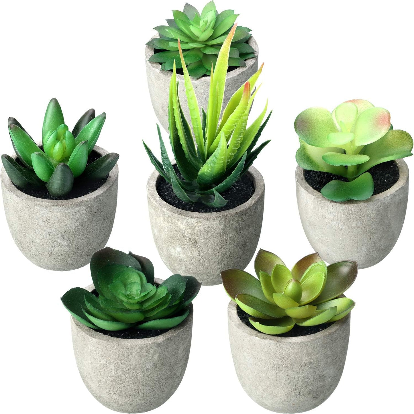 6 Pots Artificial Succulent Plants Faux Potted Succulent Decor Assorted Decorative Faux