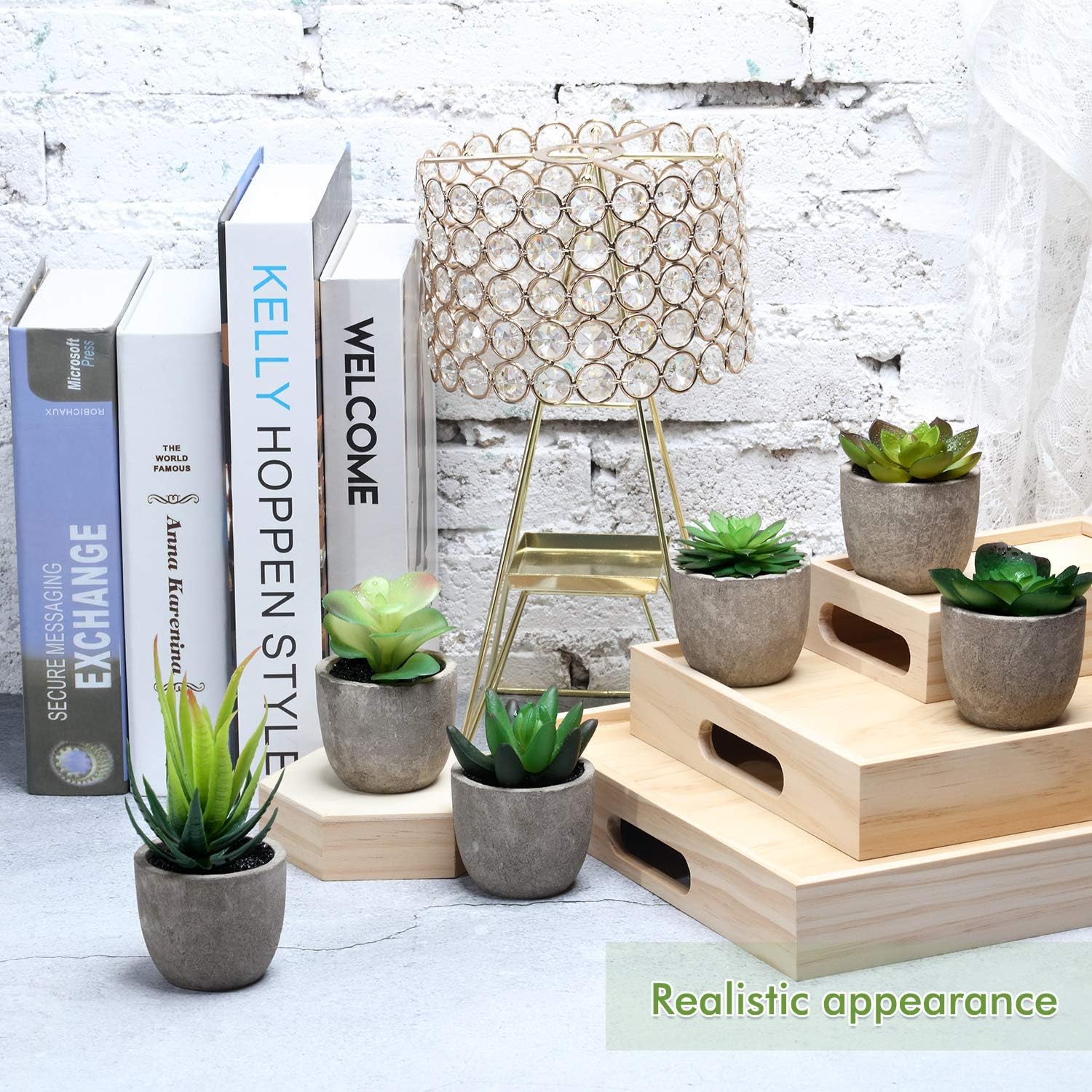 6 Pots Artificial Succulent Plants Faux Potted Succulent Decor Assorte –  RStore TX