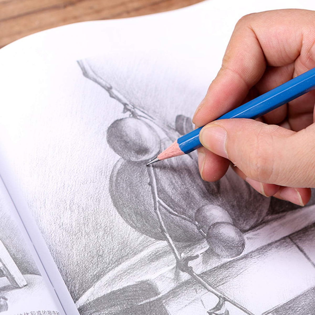 36 Pack Drawing Set Sketch Kit,Sketching Supplies with 2 sketch pad, Graphite Pencils, Charcoal Sticks, Eraser, Pro Art Drawing Kit for Artists Beginner Adults, Ideal for Shading, Blending