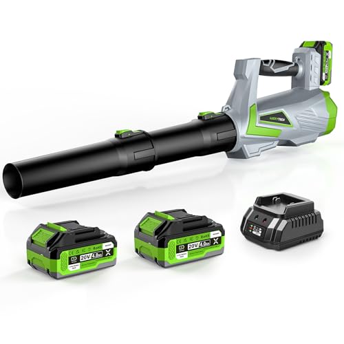 Leaf Blower Cordless with 2 x 4.0Ah Batteries and Turbo Mode