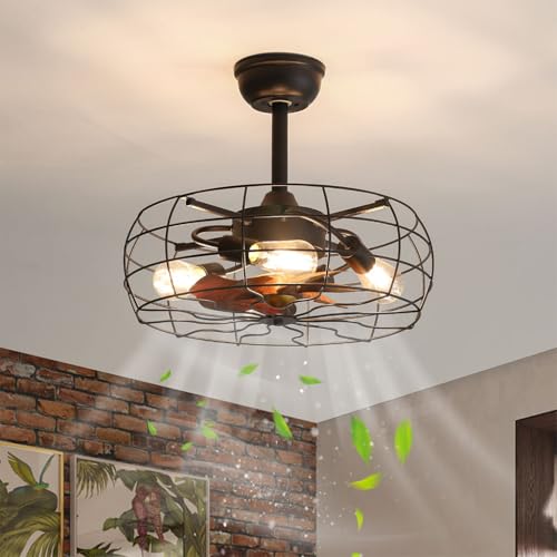 19" Caged Ceiling Fan with Light, Low Profile Flush Mount Bladeless Ceiling Fan, Small Farmhouse Industrial Enclosed Ceiling Fan with Remote Black Round Farmhouse Ceiling Fan Light Fixture