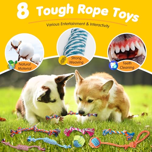 25 Pack Luxury Dog Chew Toys, Puppy Toys for Teething Small Dogs