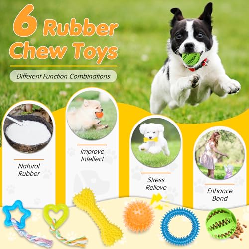 25 Pack Luxury Dog Chew Toys, Puppy Toys for Teething Small Dogs
