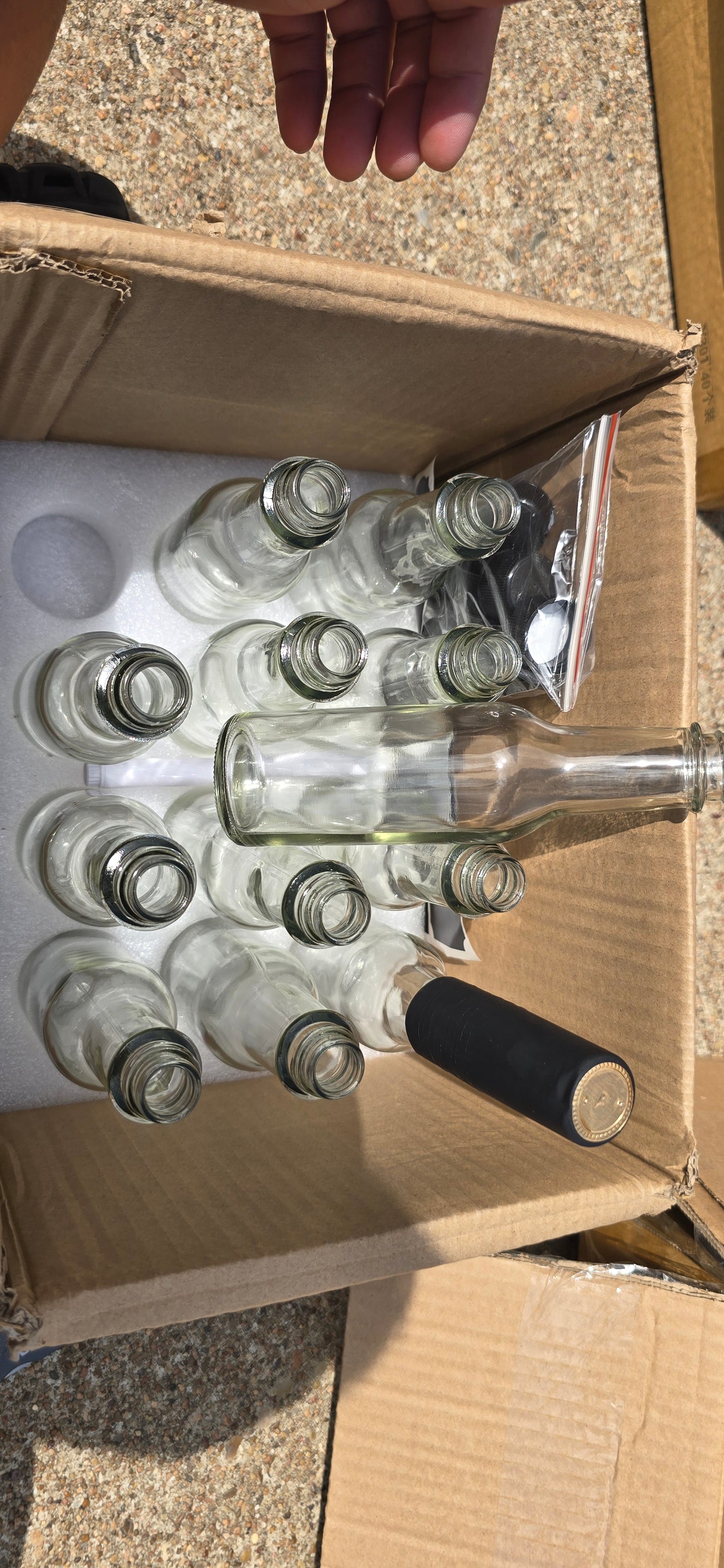 12pk Sauce Bottles with Lids and Seal