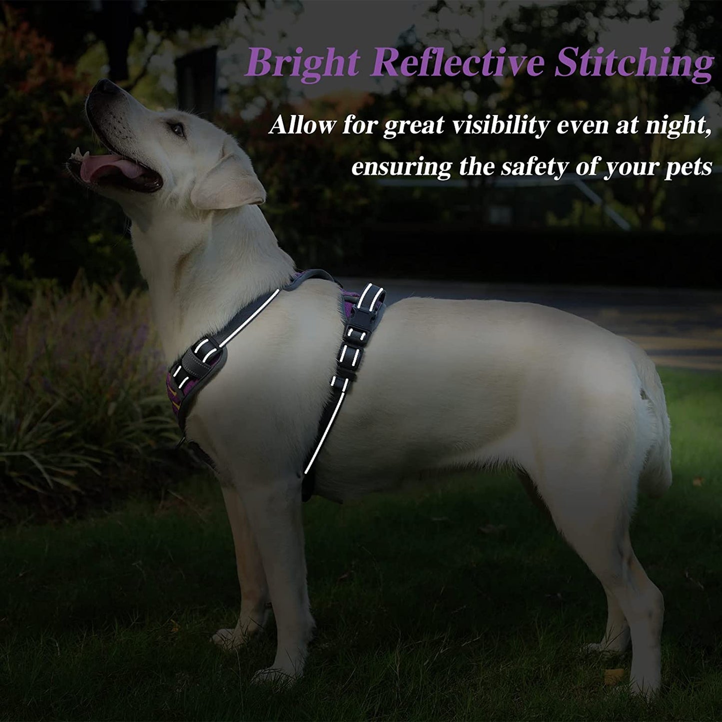 Dog Harness with Rope, 2 Layer Knitted Fabric, No Pull Adjustable Easy Control, Reflective