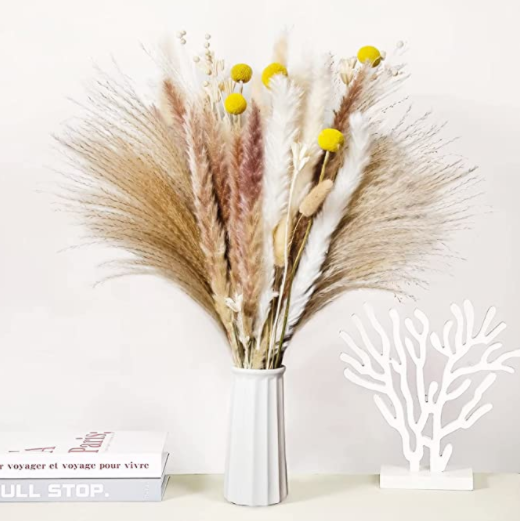 100pcs Dried Pampas Grass Décor Bunny Tails Dried Flowers, Reed Grass Bouquet for Wedding Boho Flowers Home