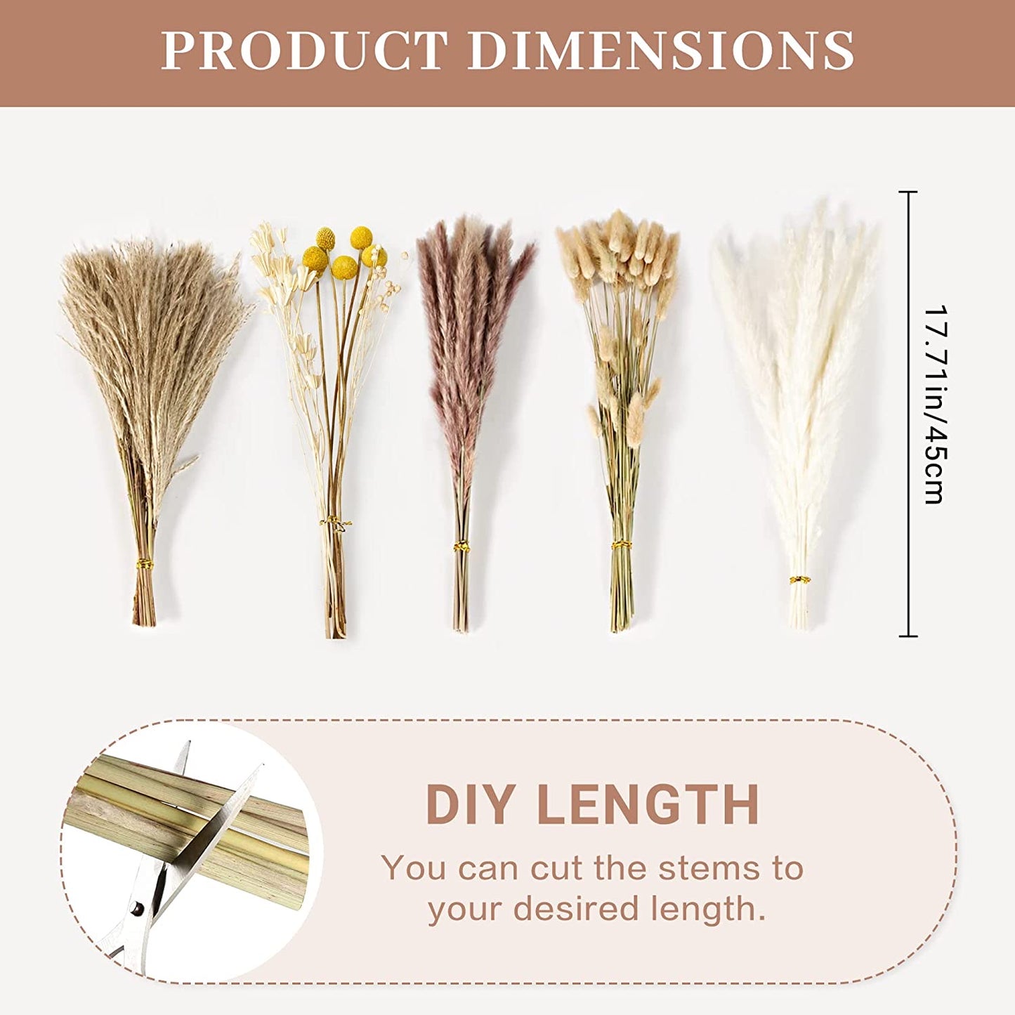 100pcs Dried Pampas Grass Décor Bunny Tails Dried Flowers, Reed Grass Bouquet for Wedding Boho Flowers Home